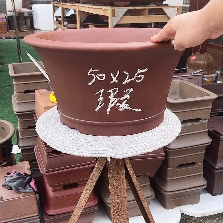 紫砂花盆紫砂花是