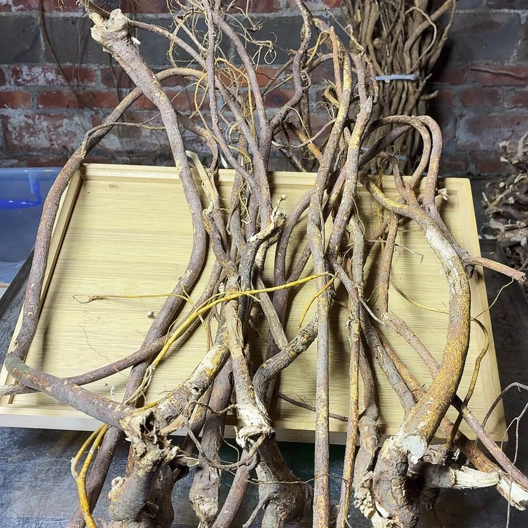 浅***花中国大陆广西野生五指毛桃鲜货