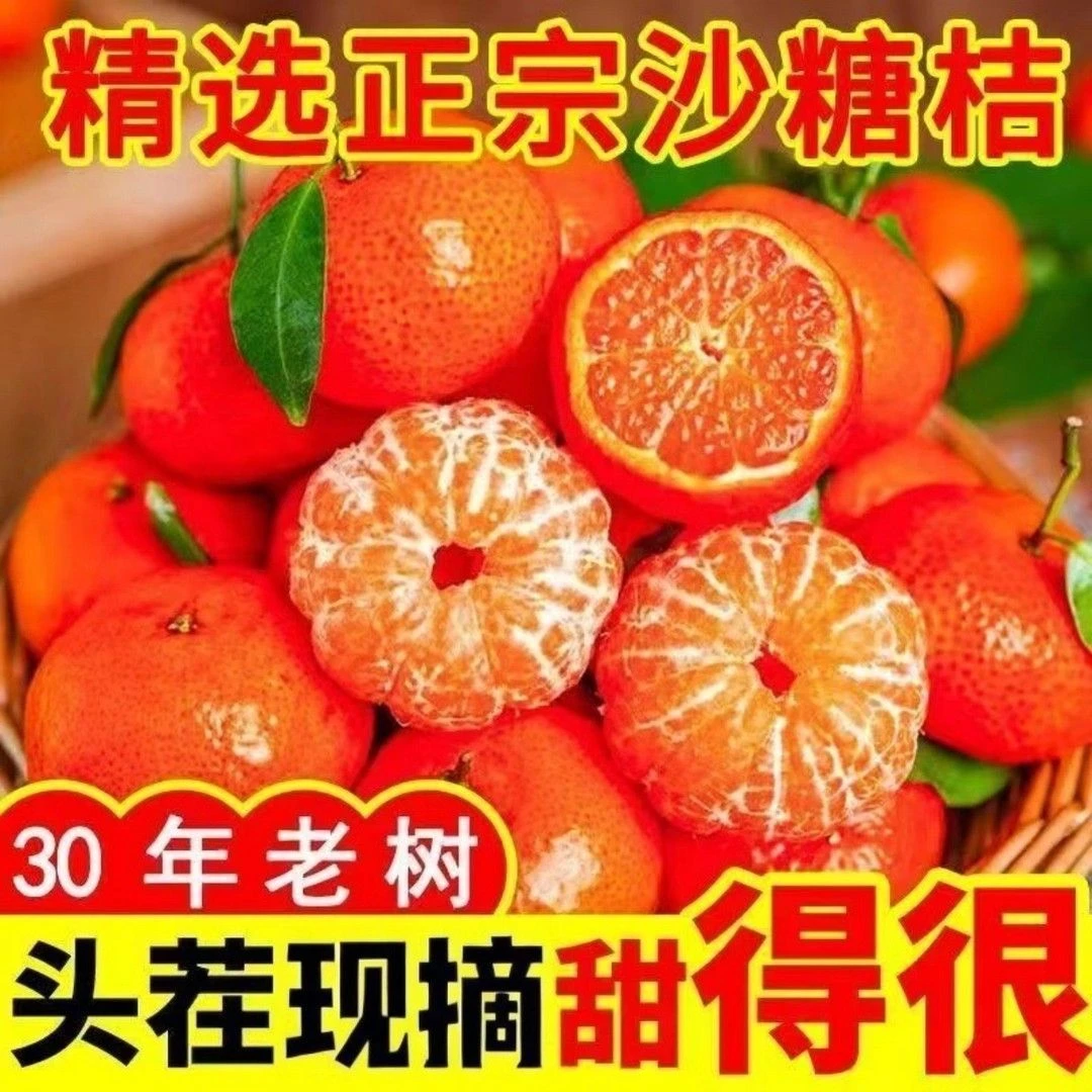 正宗新鲜广西沙糖桔清甜可口薄皮桂林沙糖桔桔子蜜橘砂糖橘批发