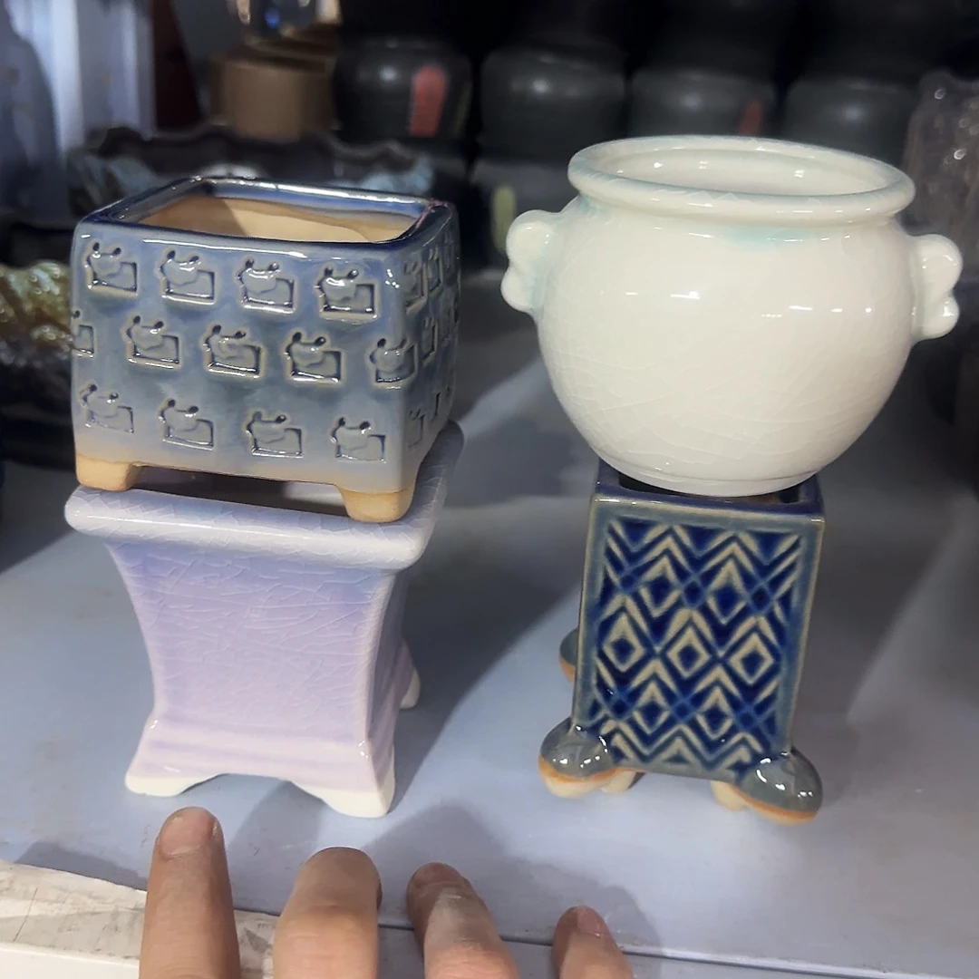 4个特价盆·天姿添香·福利局·凑9元发·