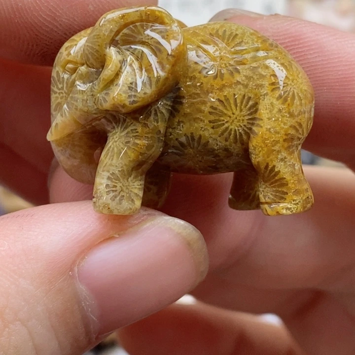 颈饰未镶嵌硅化珊瑚（珊瑚玉）有瑕