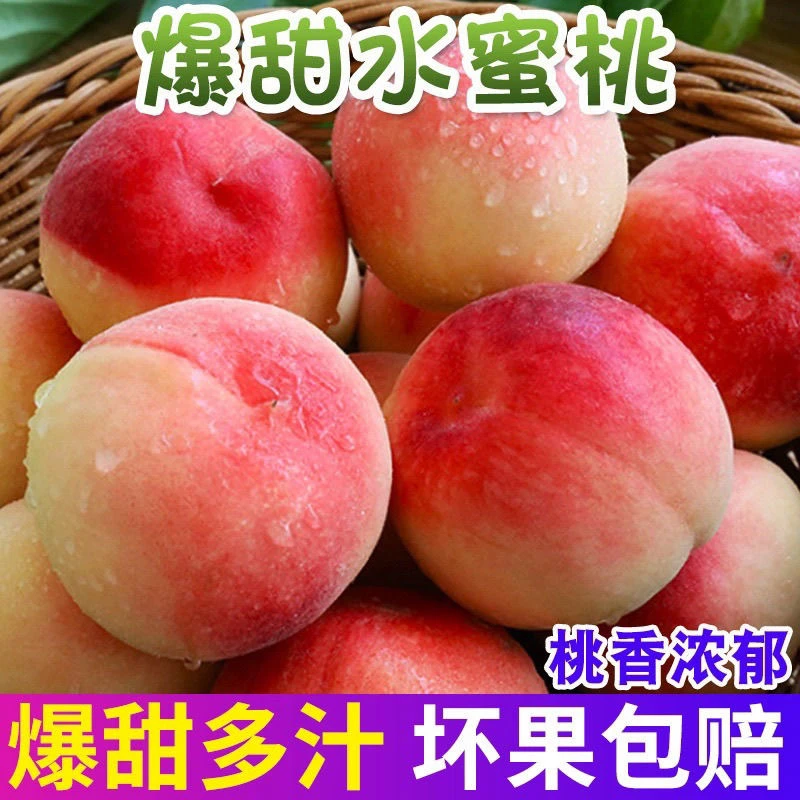 新鲜现摘现发水蜜桃脆甜爆汁当季水果六月脆甜大果毛桃