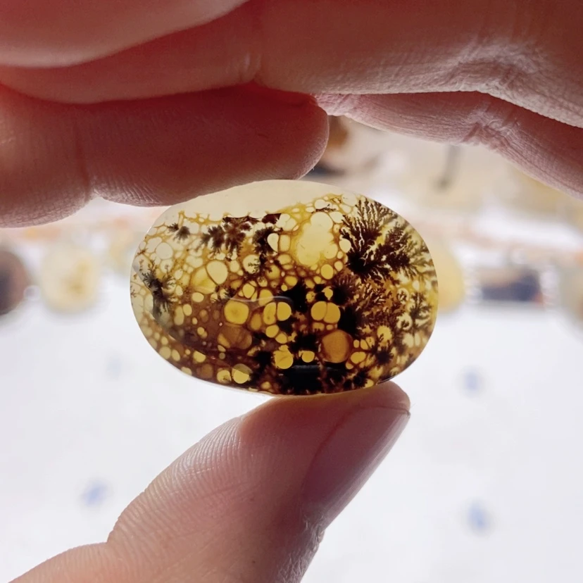 【闪购商品】玛瑙/玉髓颈饰未镶嵌