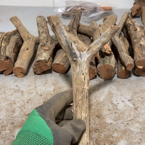 大果紫檀（缅甸花梨）夏*