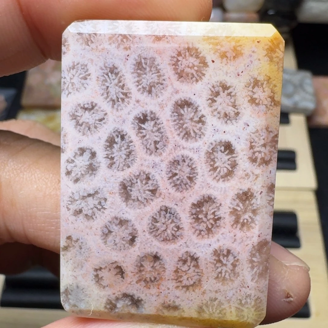 硅化玉未镶嵌纯天然色有机玉石保真色