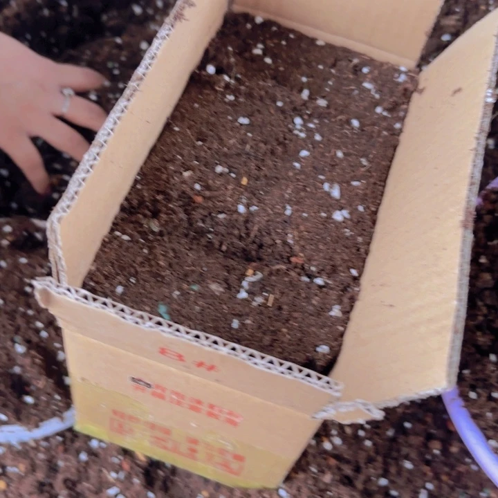 多肉泥碳土1箱8号箱发货体验装