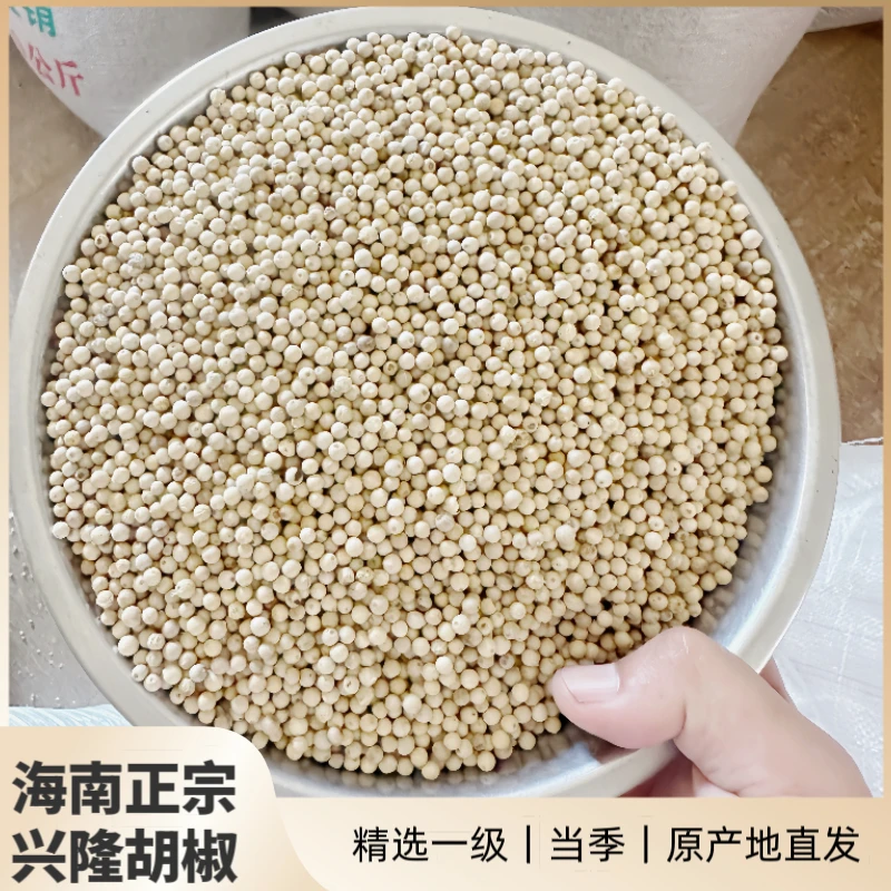 海南正宗万宁兴隆特级白胡椒粒香醇黑新鲜晾干产地直发天然老树