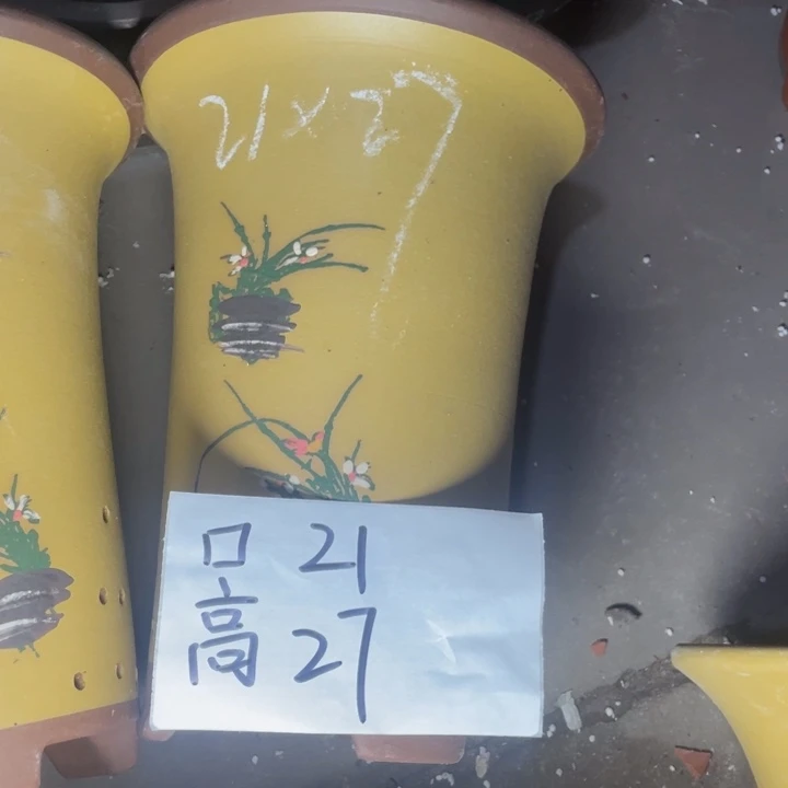 周深周深周深周深