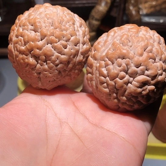 ****你橄榄核把件脑纹金刚菩提微色差