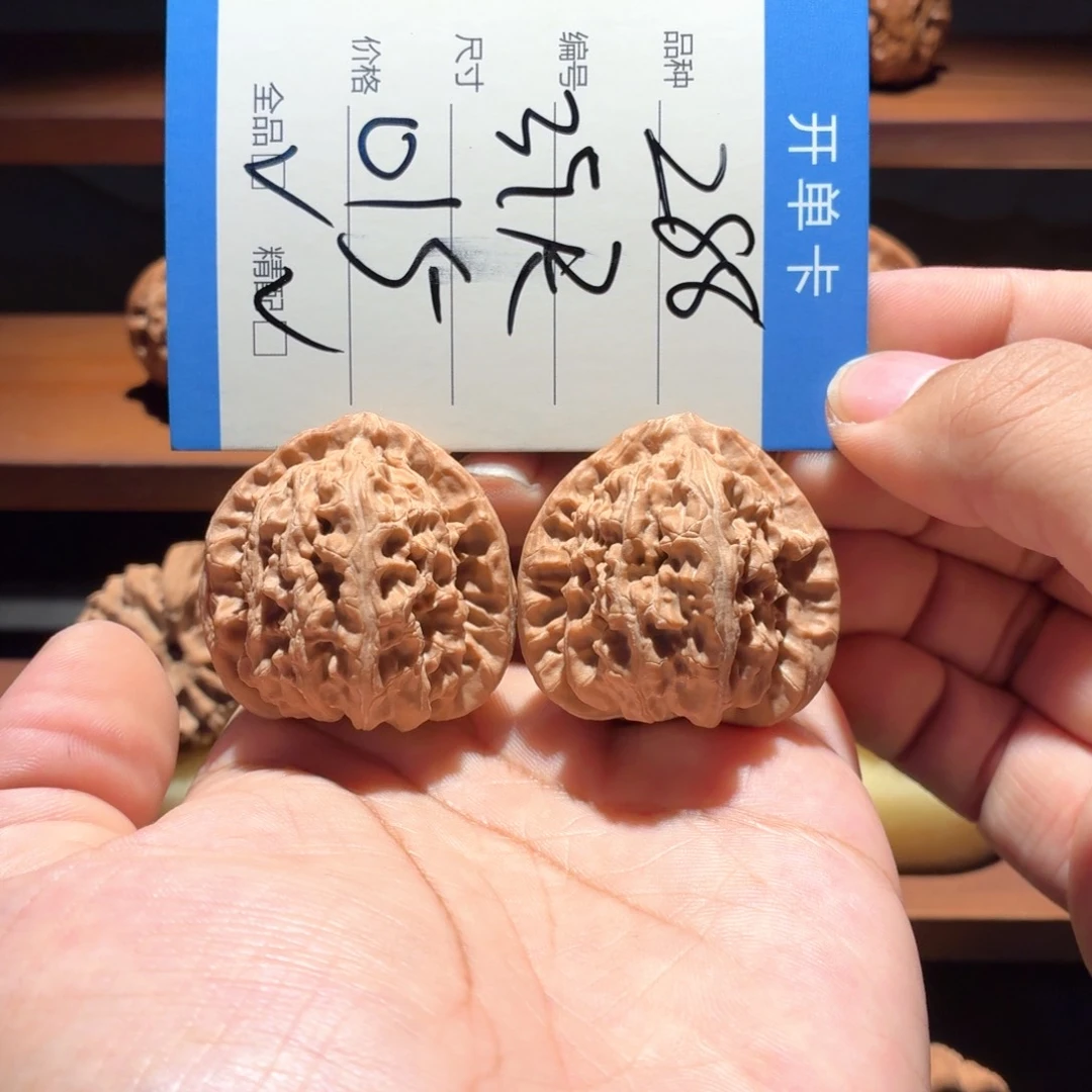 全品39全家福三角白