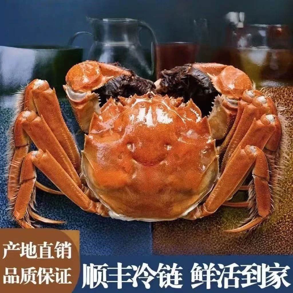 【活蟹现货】江苏河蟹全公蟹2.5-2.8两现捕现发精品螃蟹10只顺丰包邮