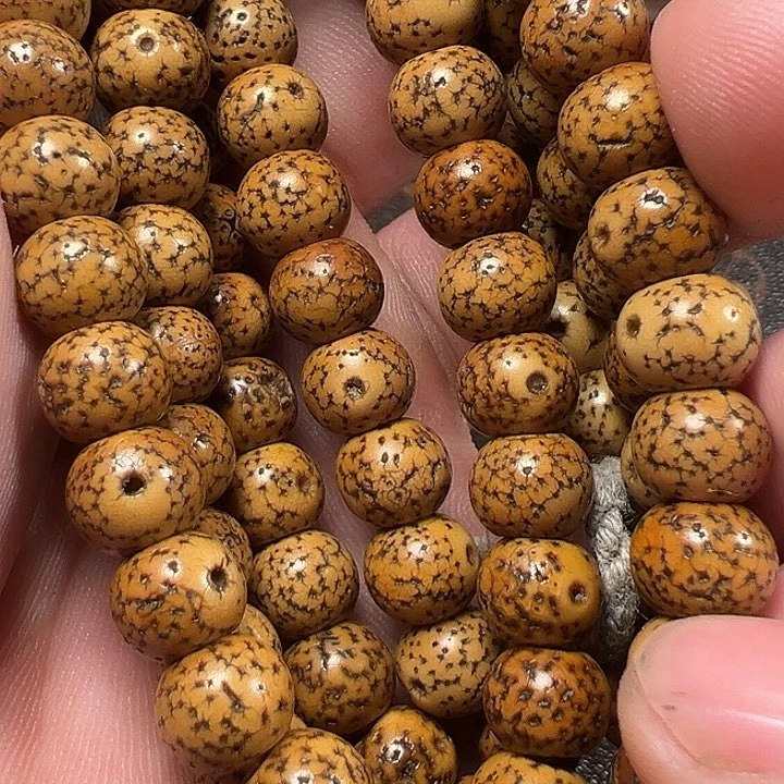 我们都是在这里看到的