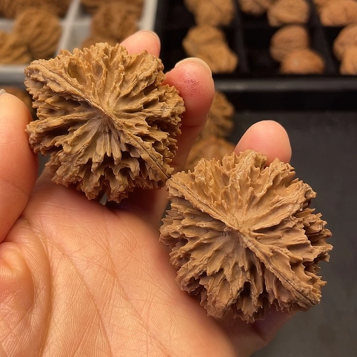 文玩核桃吊坠突突你是最可爱滴