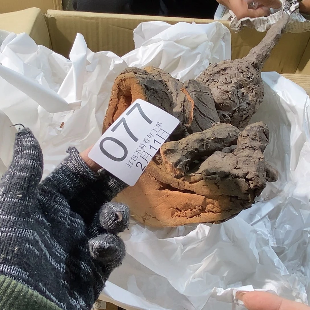 摆件石***材丽江丽江丽江丽江丽江啦