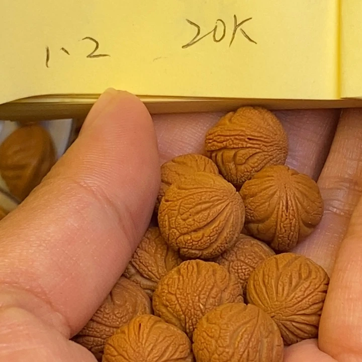 文玩核桃吊坠秦岭龙纹桃核22