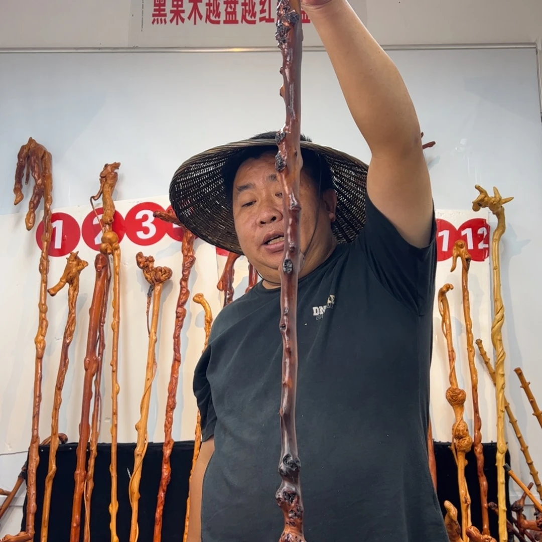 晨***晨黑果木其他黑果木150
