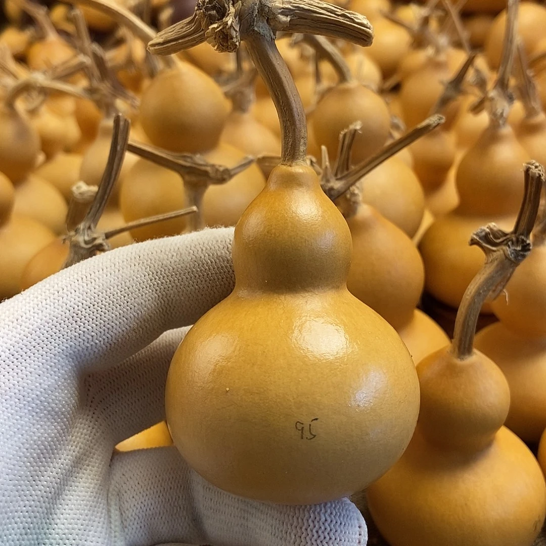 文玩葫芦 完美主义者 慎拍95