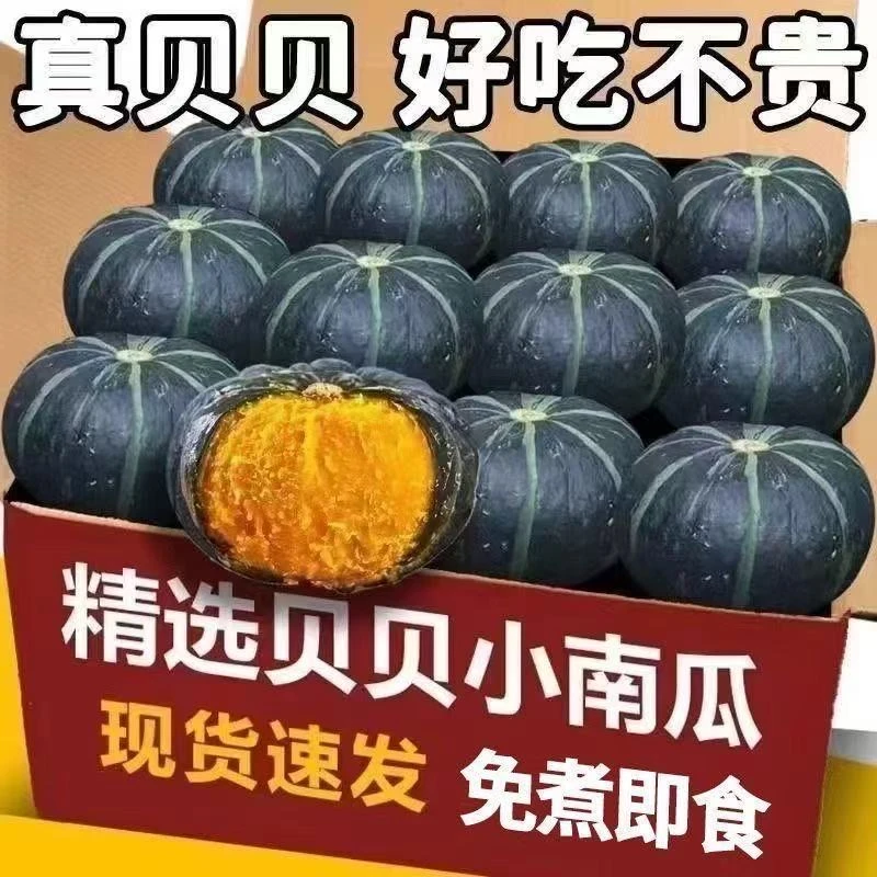 贝贝南瓜新鲜蔬菜适合宝宝辅食