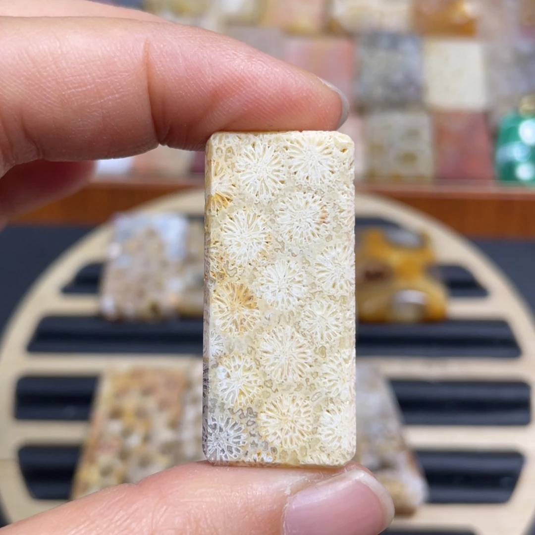 硅化玉未镶嵌颈饰k2