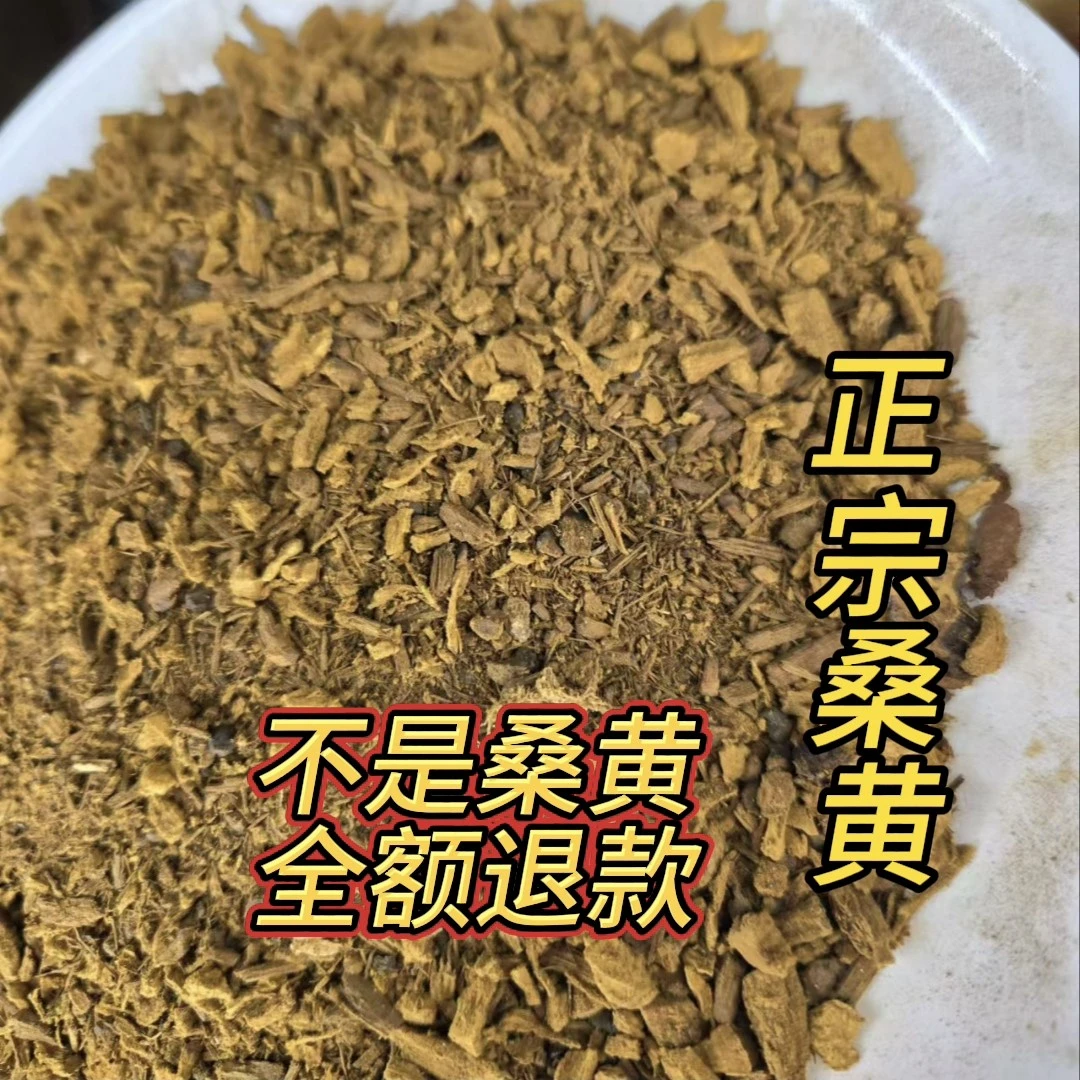 老黄山珍 正宗西藏桑树桑黄颗粒碎块参 100克