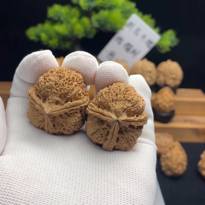 文玩核桃把件云南铁核桃5