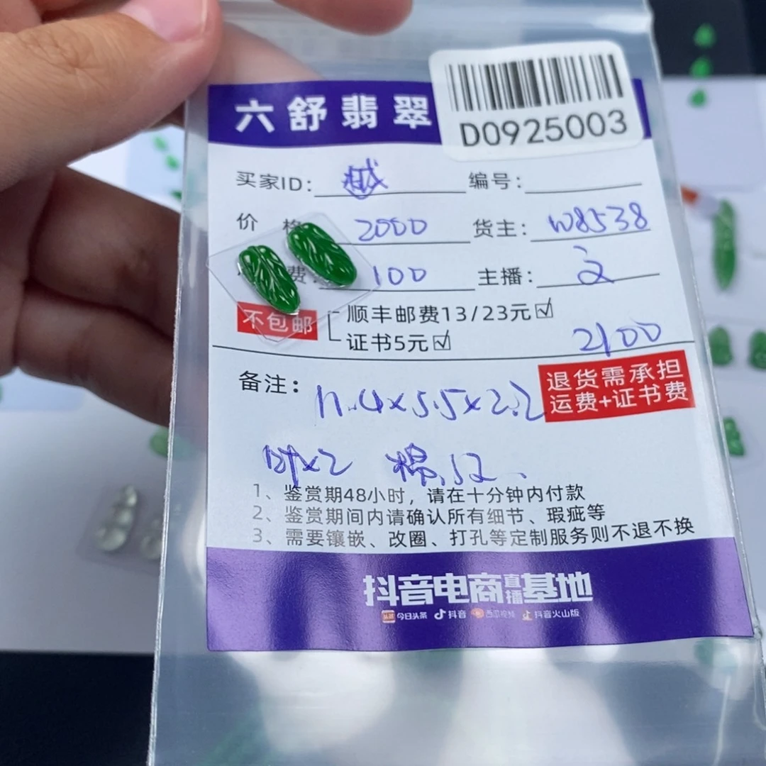越***筋未镶嵌挂件翡翠D0925003