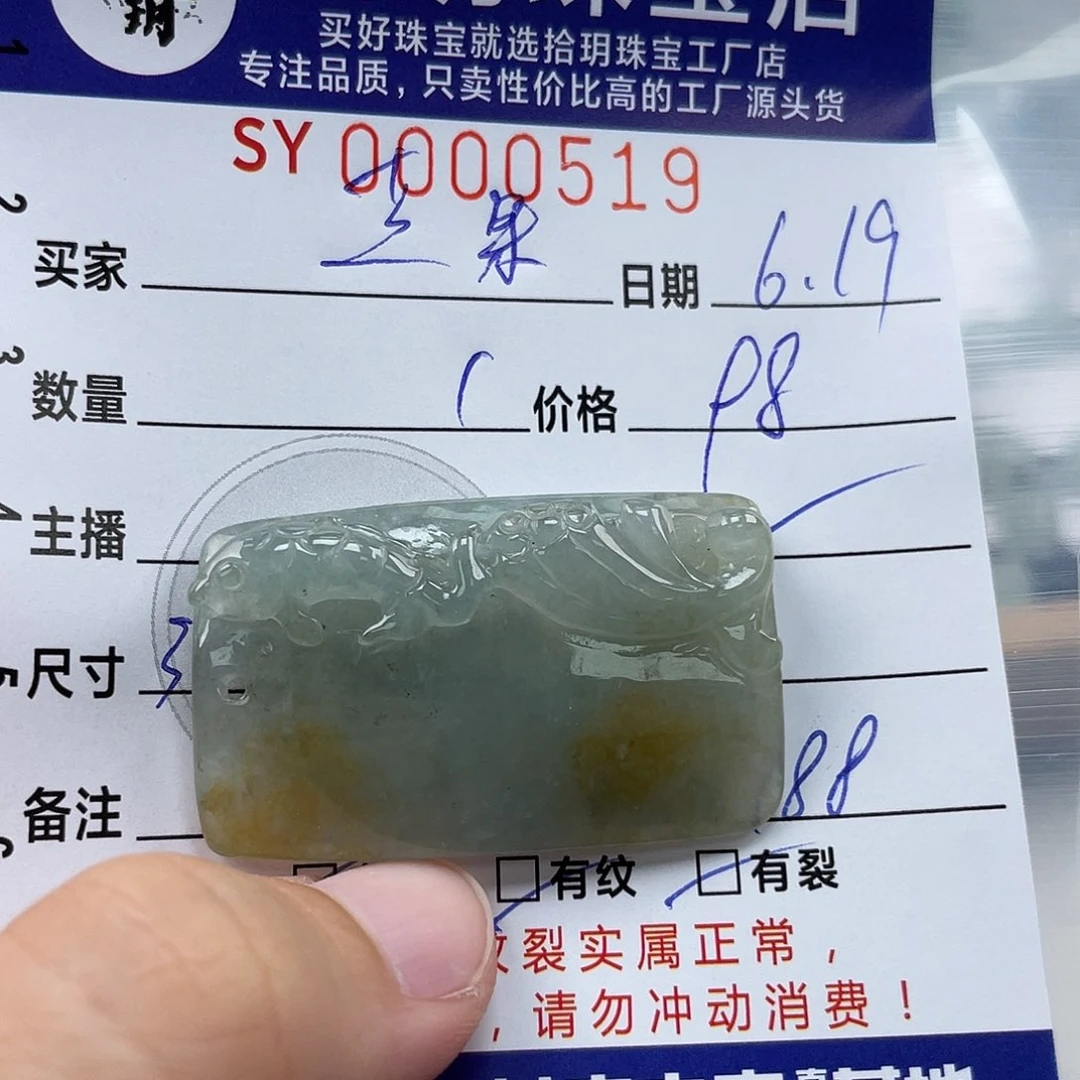翡翠未镶嵌颈饰牌子519