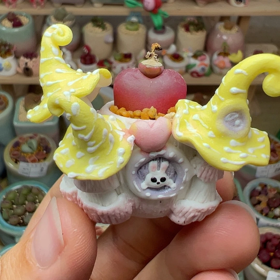 多肉植物30号拇指盆