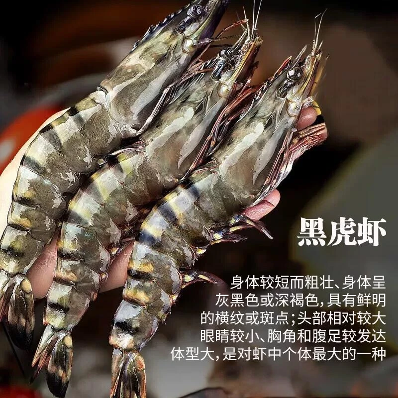 【八八虾】大虎虾16/20规格海捕黑虎虾活冻锁鲜特大号2030海洋大虾