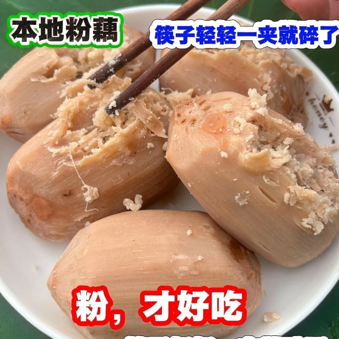 【顺丰次日达】潮州本地饶平半咸水莲藕煲汤糕烧凉拌珊香粉