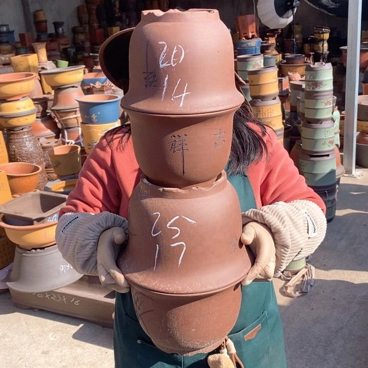 紫砂花盆盆栽花卉苗木种植