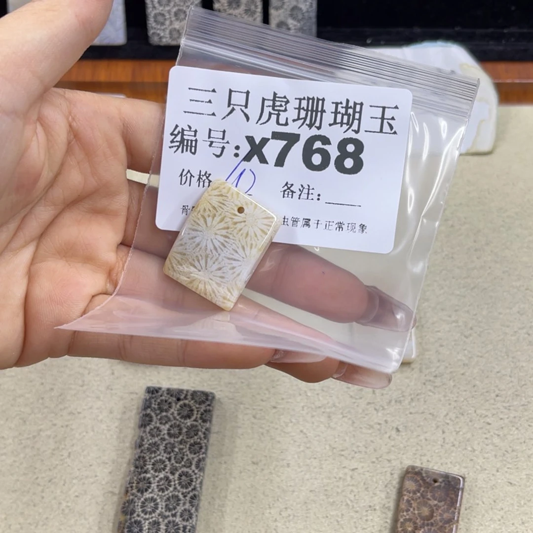 木***狗硅化珊瑚（珊瑚玉）h银S925镀金镶嵌