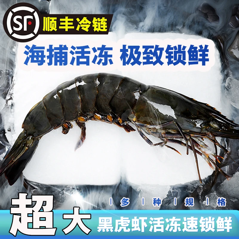 顺丰冷链3斤去冰净重海捕黑虎虾超大号鲜活速冻福建黑金刚老虎虾
