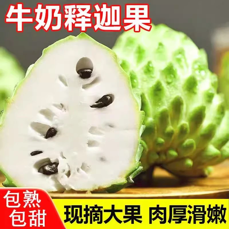 【顺丰包邮】牛奶凤梨释迦果新鲜采摘大果当季水果番荔枝佛头果应季