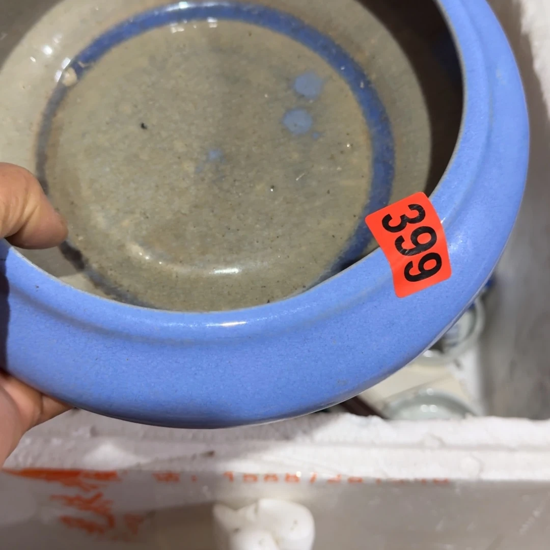 不***卡杂色豆（科檀/科特迪瓦檀木）