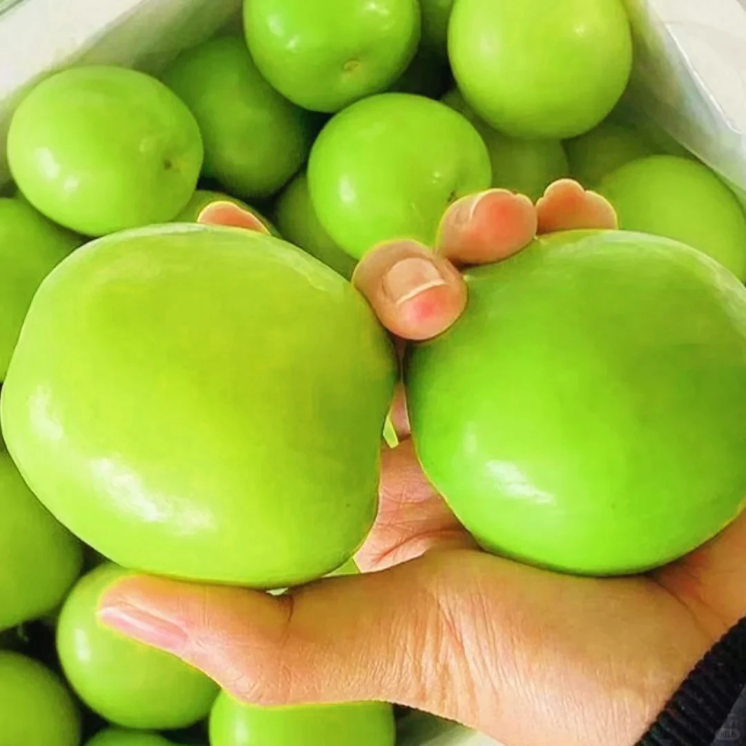 福建牛奶大青枣脆甜多汁当季时令水果新鲜爽口奶香贵妃枣苹果枣甜