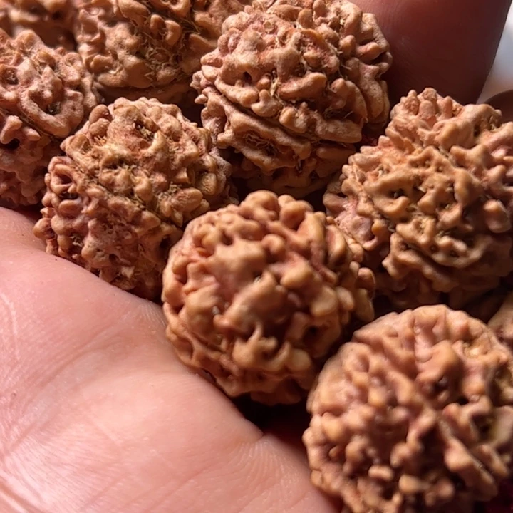金刚菩提手串22大柴文