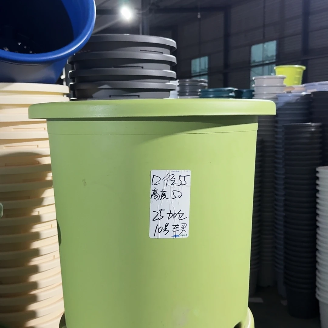 微瑕55口径无拖果绿2个