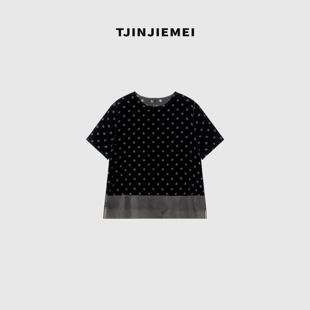 T井姐妹【烟雨客】设计感精致真丝丝绒百搭气质短袖T恤DX2506-TJ346