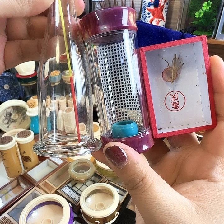 紫色竹蛉套啊啊啊啊啊