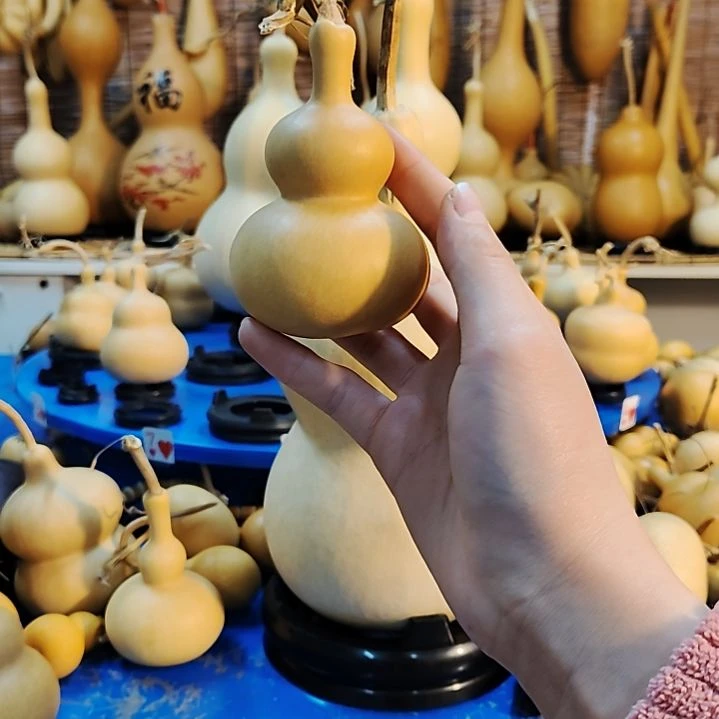 ?他他他他他他他他他他他他他