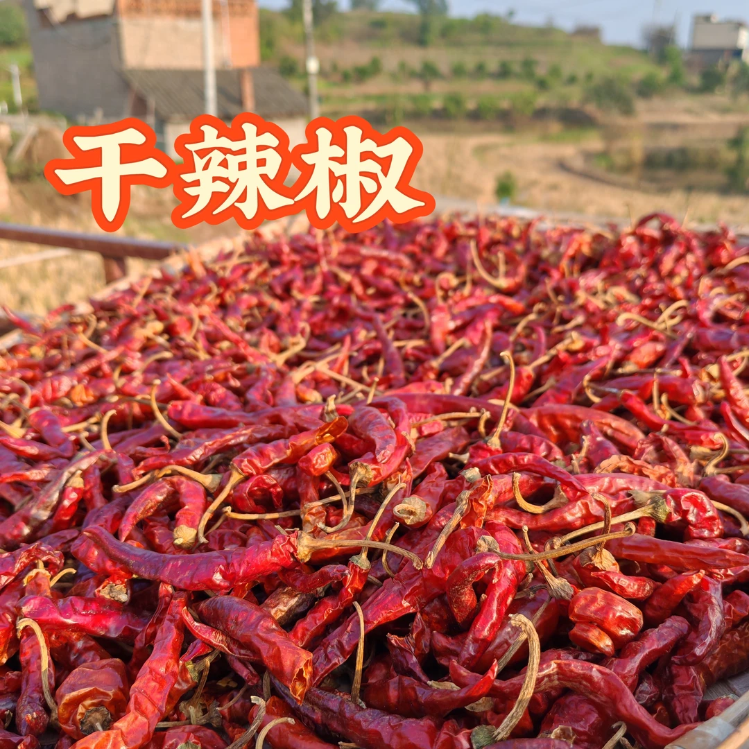 干菜鲜辣椒 红薯 黄豆 红豆花 粉条 红豆腐 纯手工制作 自然发酵