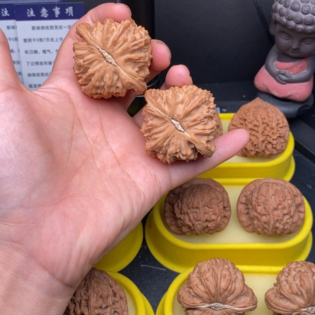 把件核桃47白狮子全