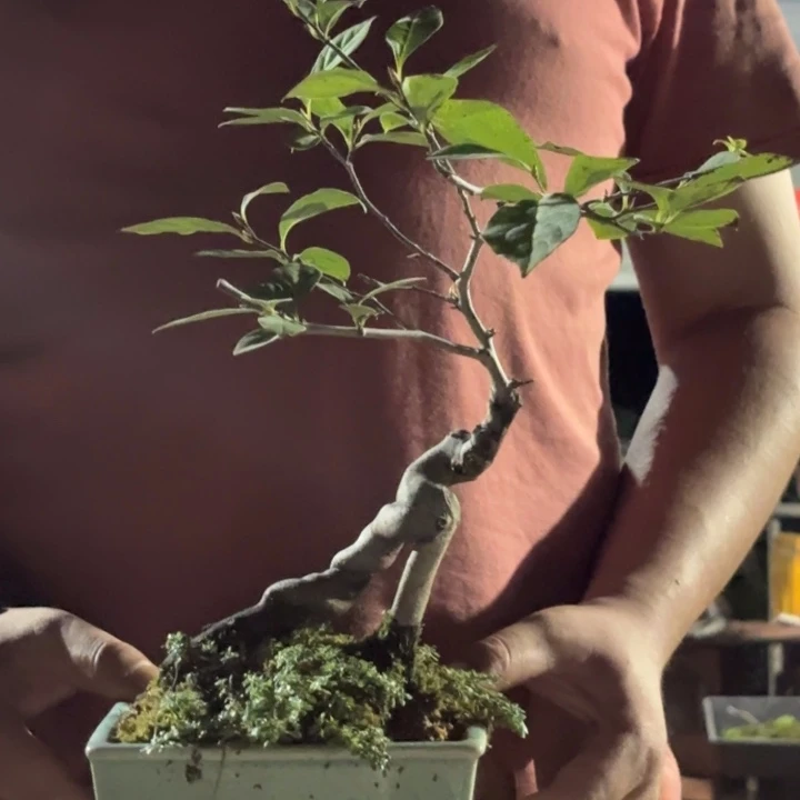 悠*哈哈哈哈哈未知