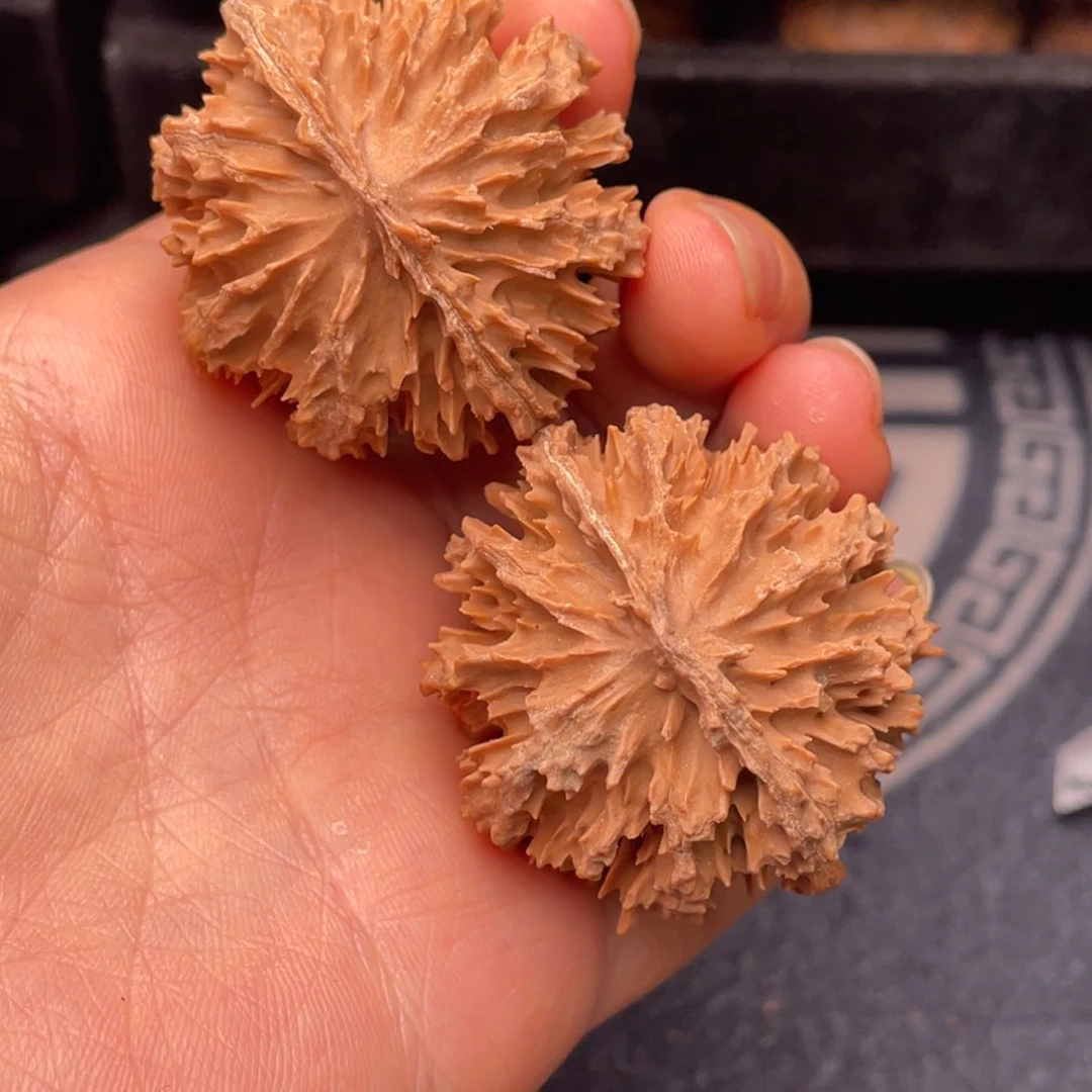 文玩核桃吊坠秦岭核桃23