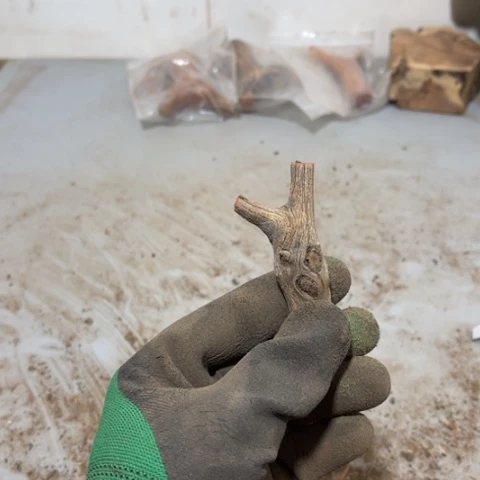 大果紫檀（缅甸花梨）2****梦