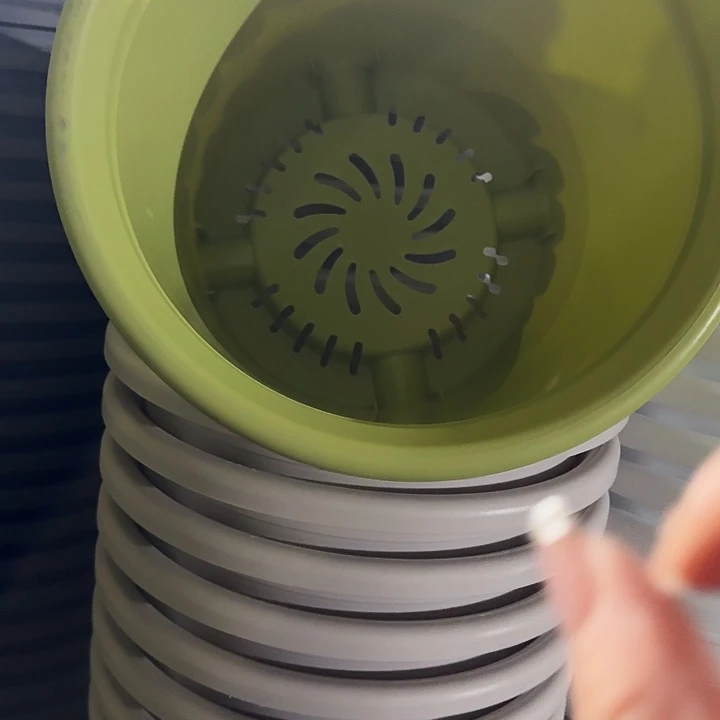 四季6号果绿带托3套