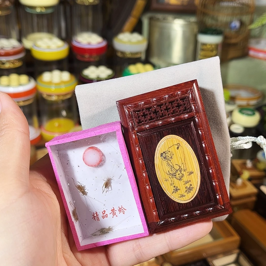 蟋蟀老红木竹蛉盒+小黄蛉+布套