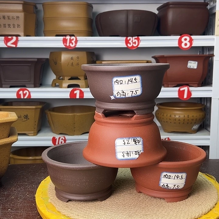 花盆紫砂蛇年大吉