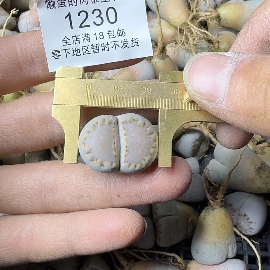 1230哈哈哈哈哈哈哈哈哈哈哈